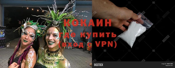 спайс Нея